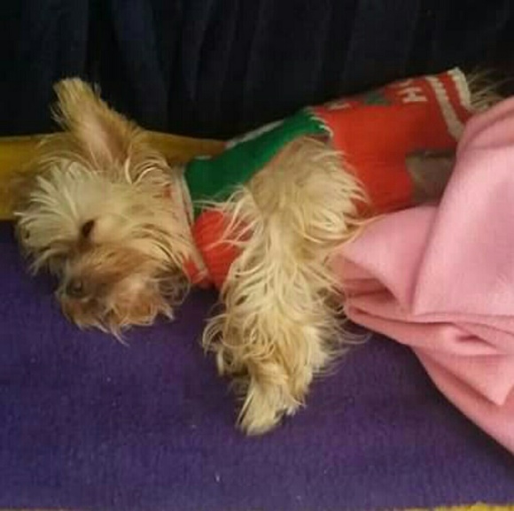 Trusted Seller !!! - Picture 3 of 8